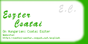 eszter csatai business card